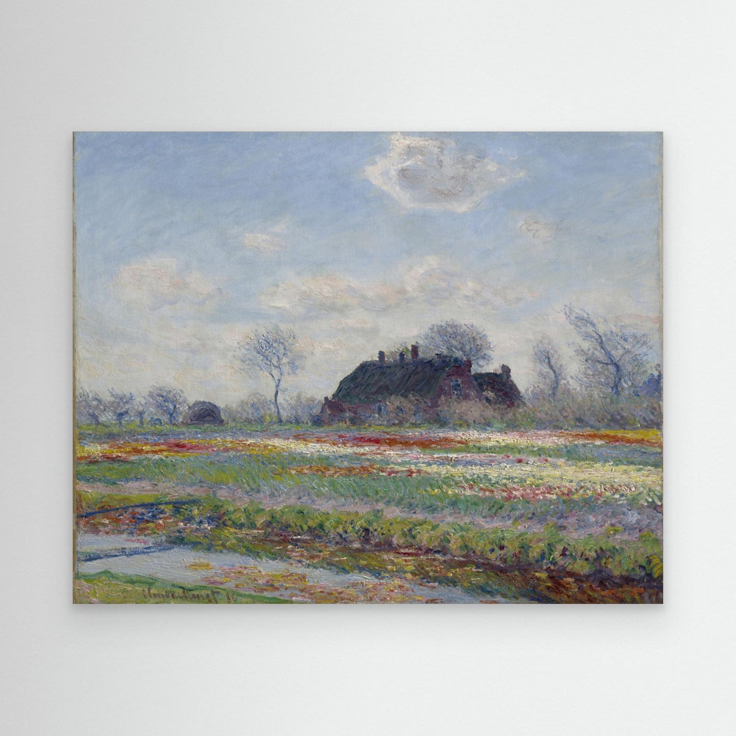 Claude Monet's Tulip Fields At Sassenheim, (1886) by Pictufy