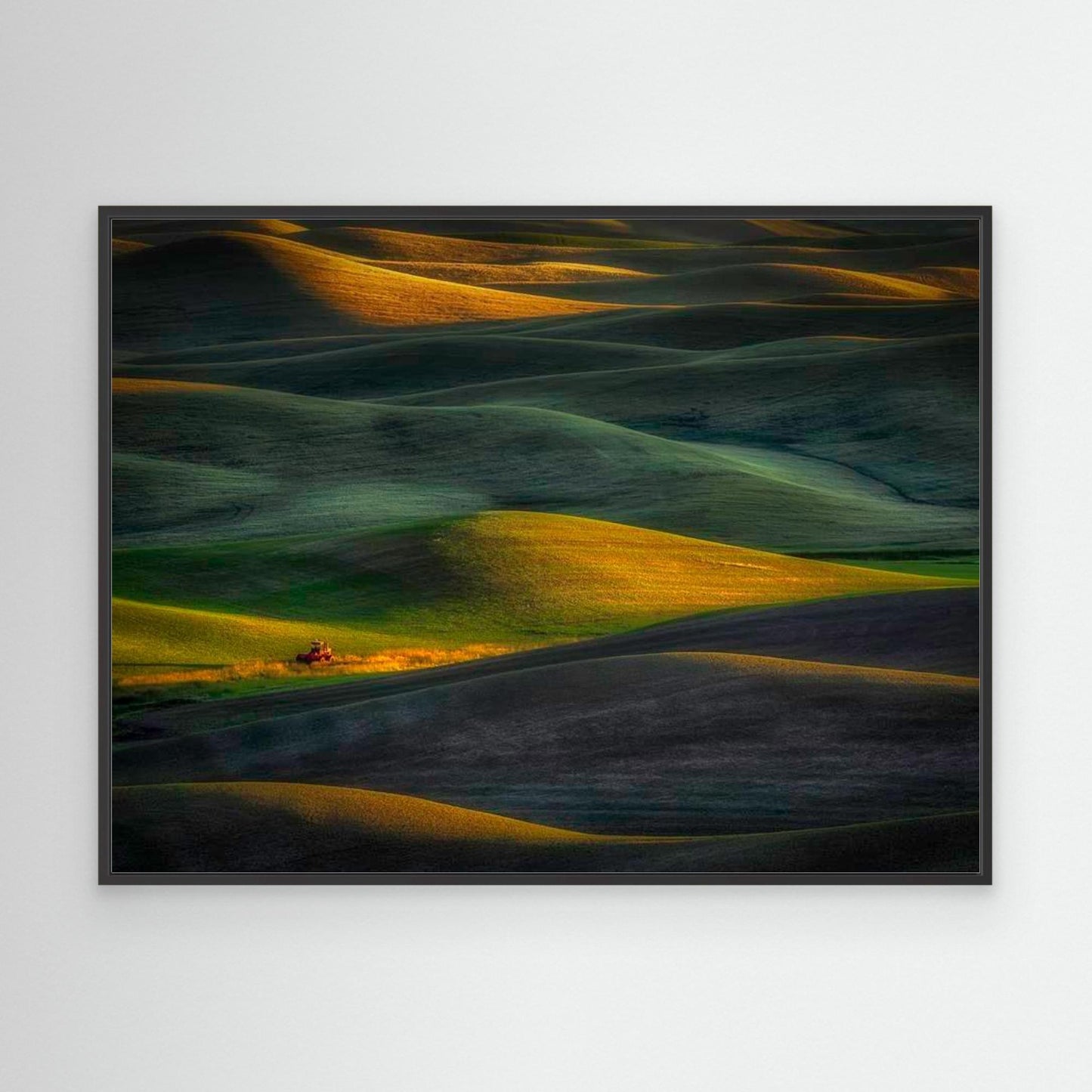 Tractor by Rob Darby