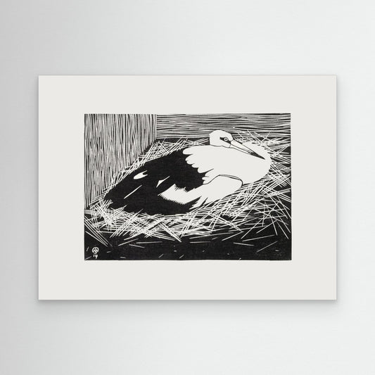 White Maguar Stork by Pictufy