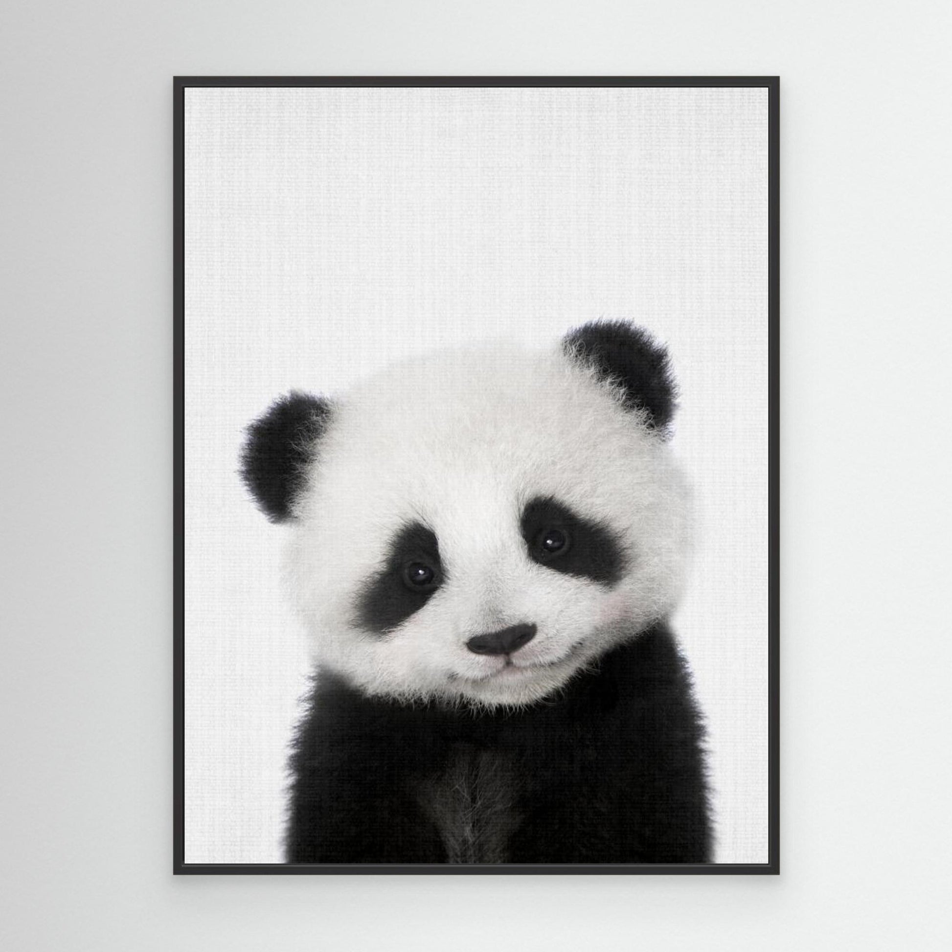 Peekaboo Baby Panda by Lola Peacock