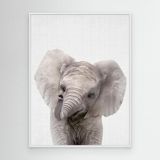 Peekaboo Baby Elephant by Lola Peacock