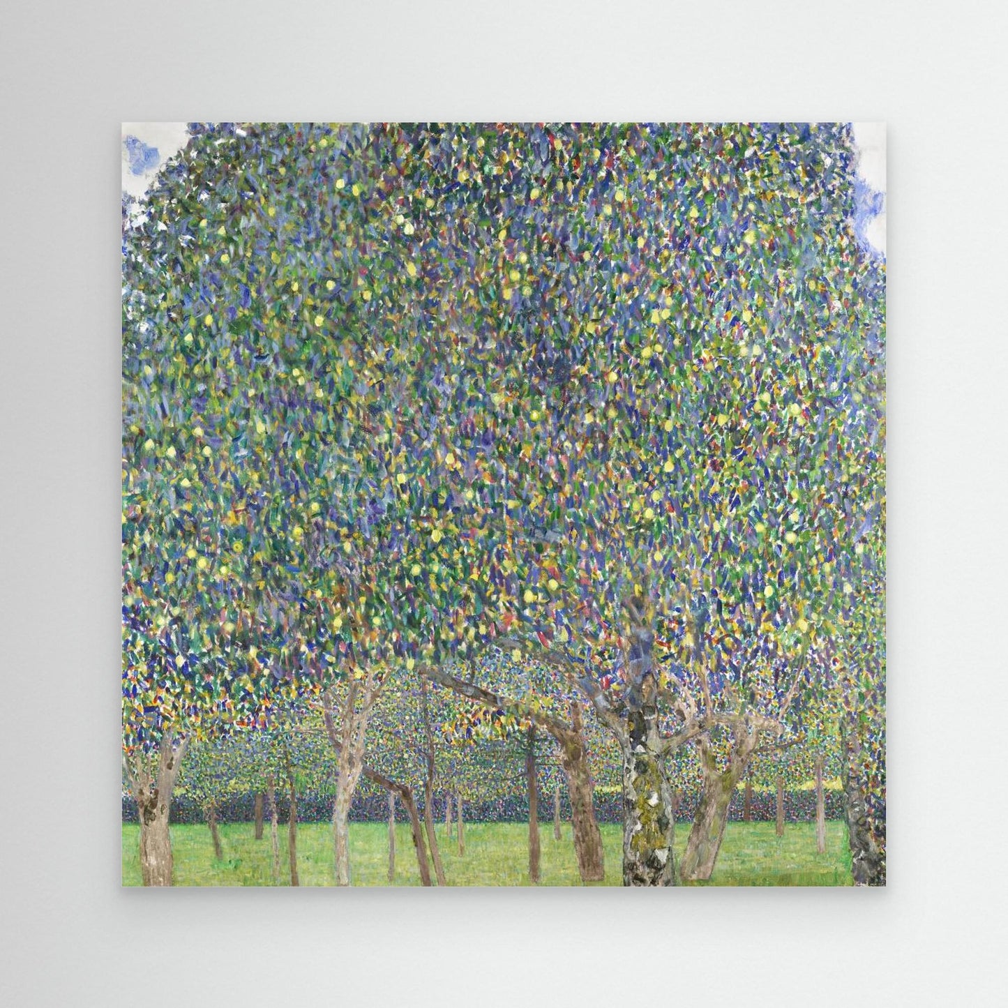 Pear Tree (1903) by Pictufy