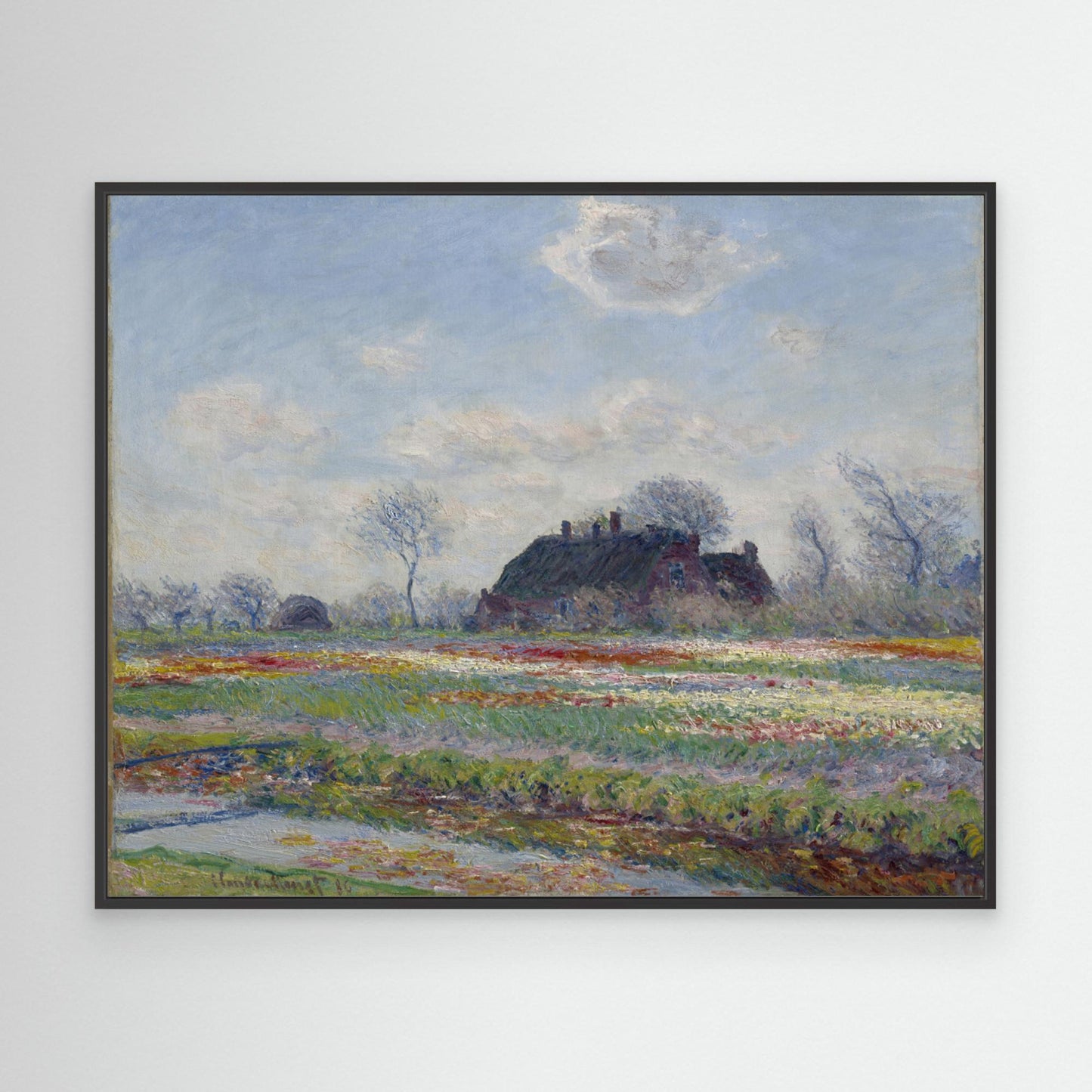 Claude Monet's Tulip Fields At Sassenheim, (1886) by Pictufy