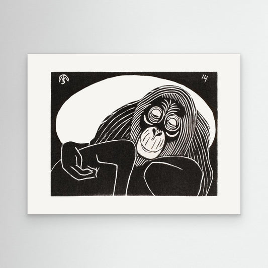 Orangutan by Pictufy
