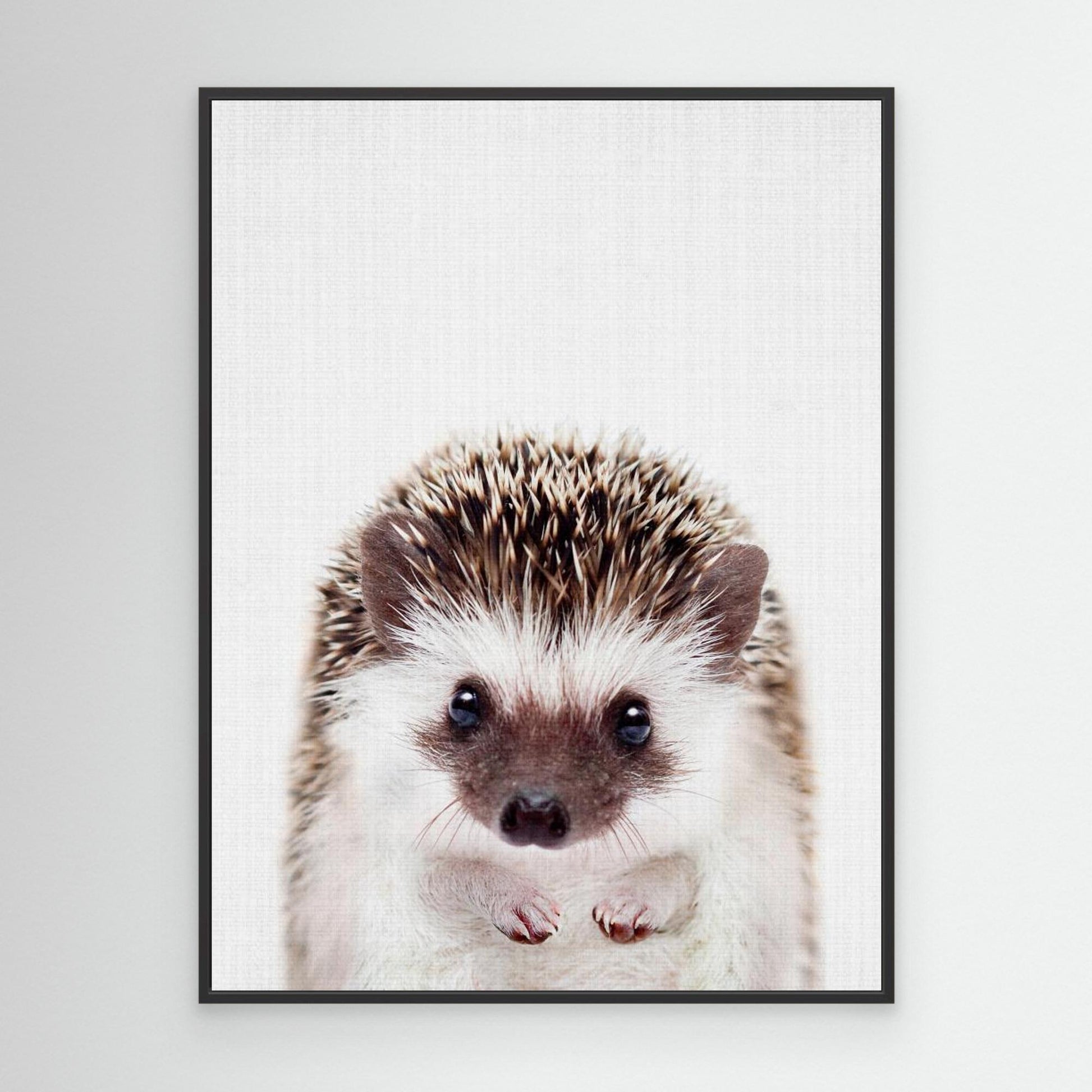 Peekaboo Hedgehog by Lola Peacock