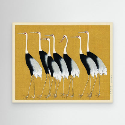 Japanese Red Crown Crane by Pictufy