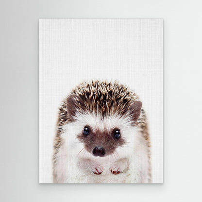 Peekaboo Hedgehog by Lola Peacock