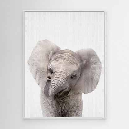 Peekaboo Baby Elephant by Lola Peacock