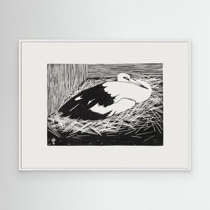 White Maguar Stork by Pictufy