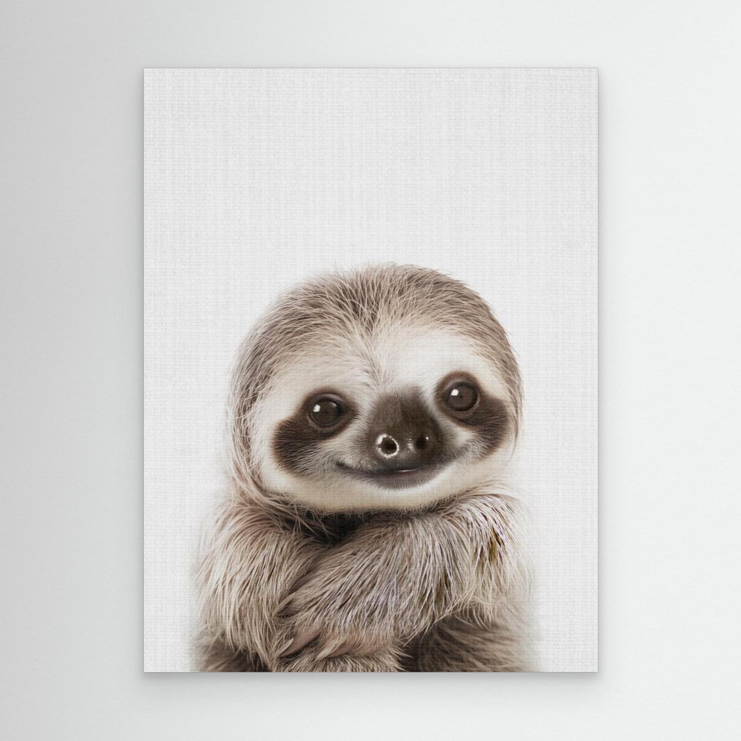 Peekaboo Baby Sloth by Lola Peacock