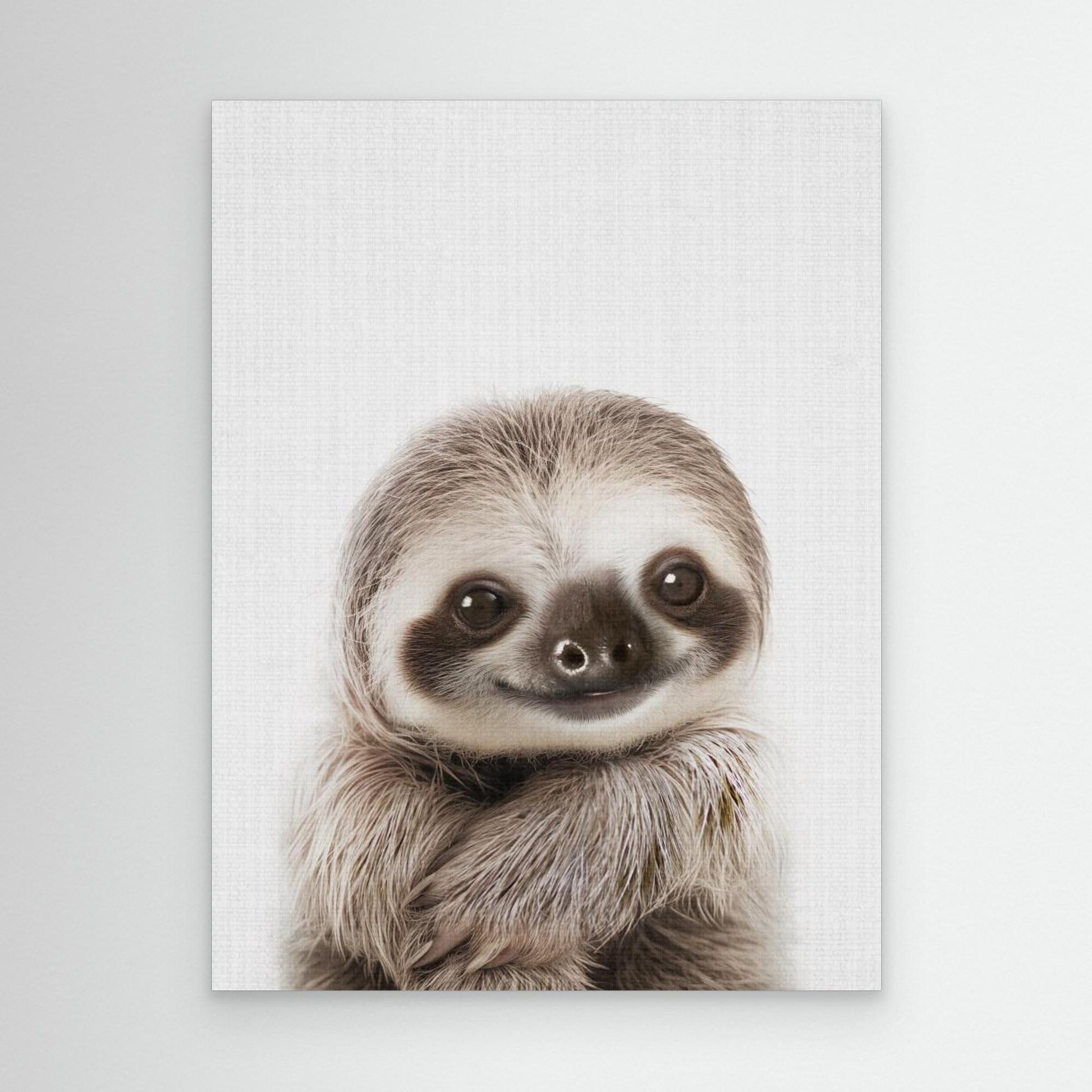Peekaboo Baby Sloth by Lola Peacock
