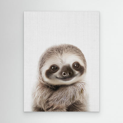 Peekaboo Baby Sloth by Lola Peacock