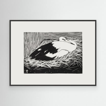 White Maguar Stork by Pictufy