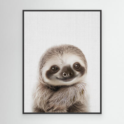 Peekaboo Baby Sloth by Lola Peacock